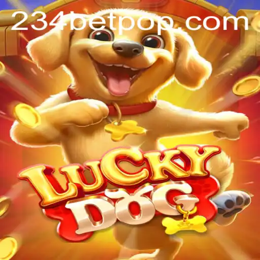 LuckyDog: Exploring the Gambling World of 234 Bet